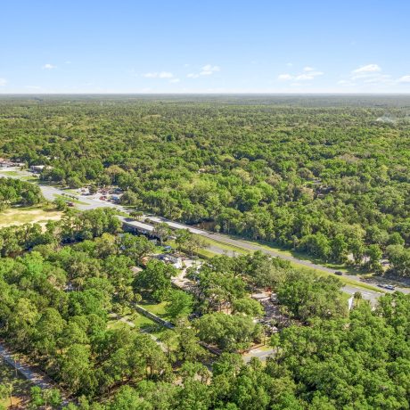 lush, Floridian landscape